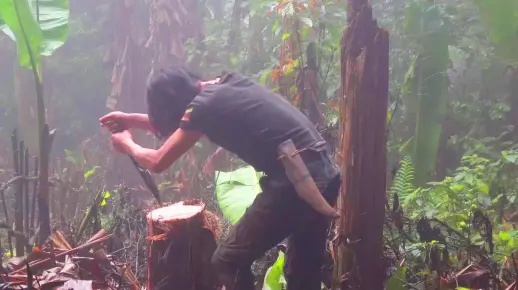 (全球丛林求生)惊险刺激：全民丛林求生视频重重考验生存技能