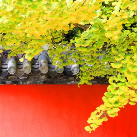 淘宝平台独家特卖：揭秘'皇城传说'游戏折扣优惠活动，帮玩家省钱攻略全收录