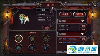 (暗黑血统2怎么拿取)暗黑血统2白金攻略：全面解读如何轻松获取所有白金成就！