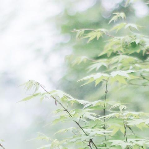 简约风格超高清电脑桌面壁纸,打造清新自然工作环境并提升效率 简约风格超高清电脑桌面壁纸,打造清新自然工作环境并提升效率