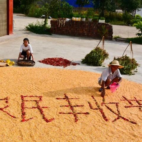 (英雄帖内容)英雄帖什么意思?探讨现代社会对英雄形象的定义及意义 (英雄帖内容)英雄帖什么意思?探讨现代社会对英雄形象的定义及意义