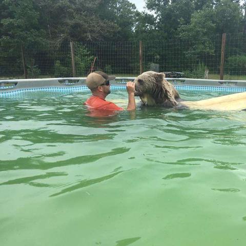 调皮小动物游戏大冒险：挑战你的智商和耐心，快来与可爱的小动物一起玩耍！